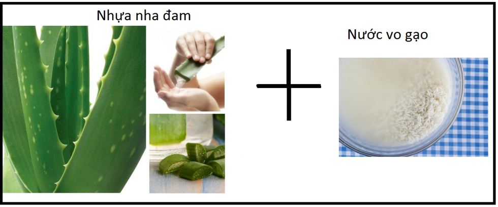 Cách điều trị tàn nhang trên mặt bằng nha đam kết hợp nước vo gạo