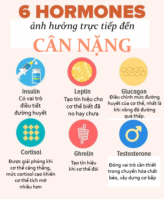 Một số giải pháp giúp kiểm soát tốt các hormone gây thừa cân