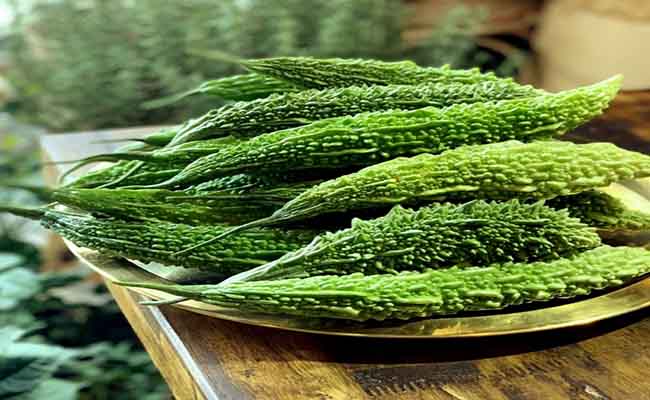 Khổ qua (mướp đắng) làm giảm vòng 1 tuyệt đối an toàn