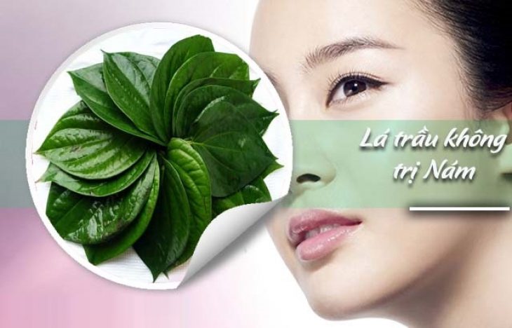 Điều trị nám da tàn nhang hiệu quả từ lá trấu không